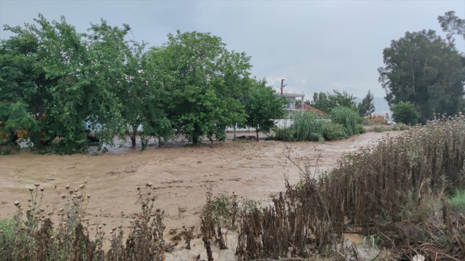 Aydın İncirliova'da sağanak sonrası taşkın nedeniyle bazı evleri su bastı