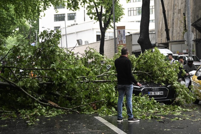 Ankara'da sağanak nedeniyle devrilen ağaç 3 araçta hasara yol açtı