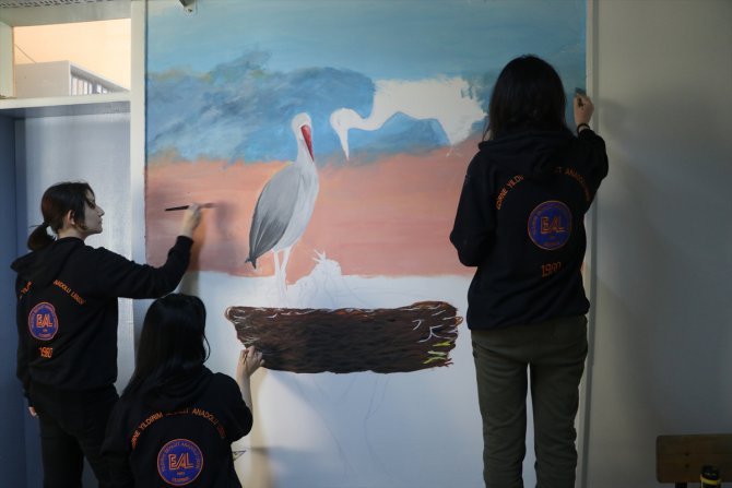 Edirne'deki lisenin maskotları "İsmayıl" ve "Fatme"yi öğrenciler duvara resmetti