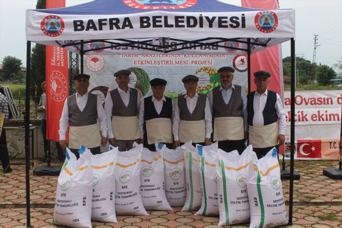 Samsun'un Bafra ilçesinde çeltik tohumu dağıtımı ve ekim töreni yapıldı