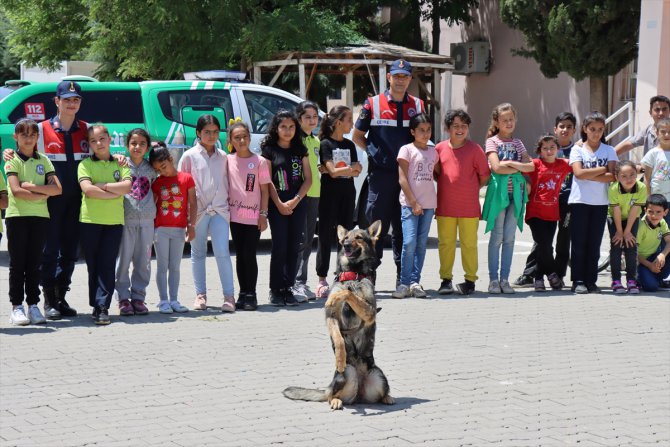 Kilis'te eğitimli köpeklerle depremzede çocuklara moral etkinliği