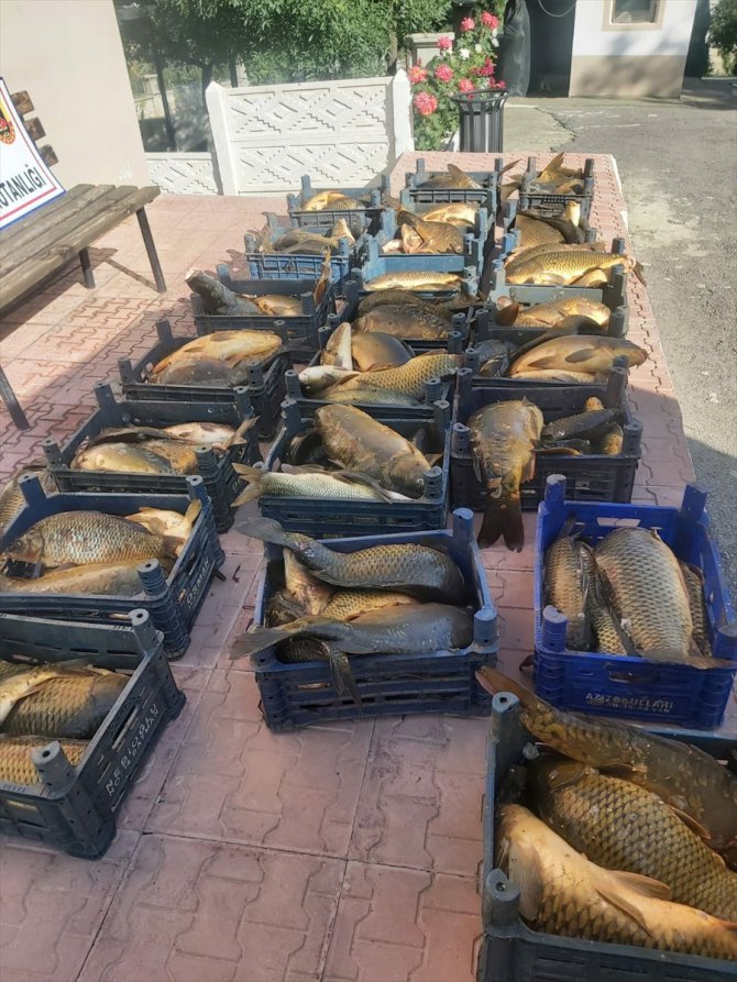 Elazığ'da kaçak avlanan 1,5 ton balık ele geçirildi