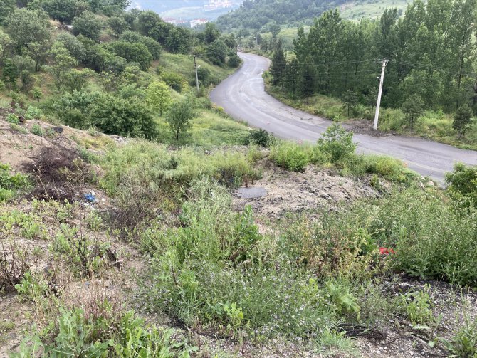 Karabük'te şiddetli yağış toprak kaymasına neden oldu