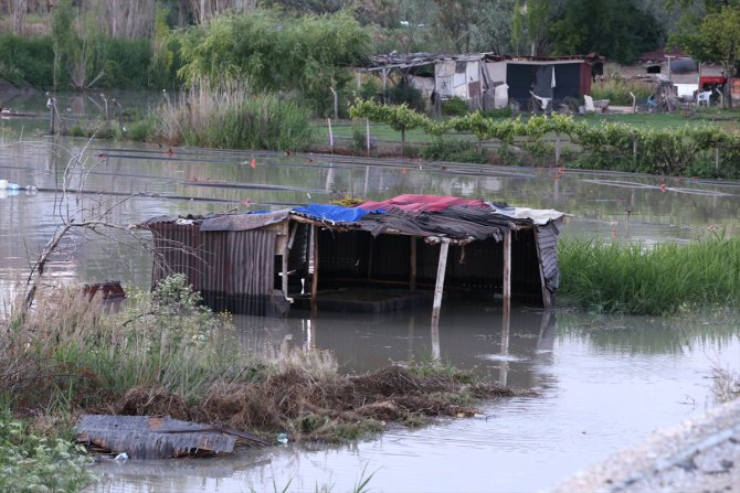 Sağanak nedeniyle Ankara Çayı'nın taşmasıyla mandıra ve bahçeler sular altında kaldı