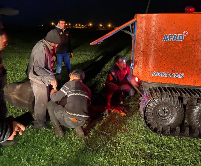 Ardahan'da bataklığa saplanan ineği AFAD ekipleri kurtardı