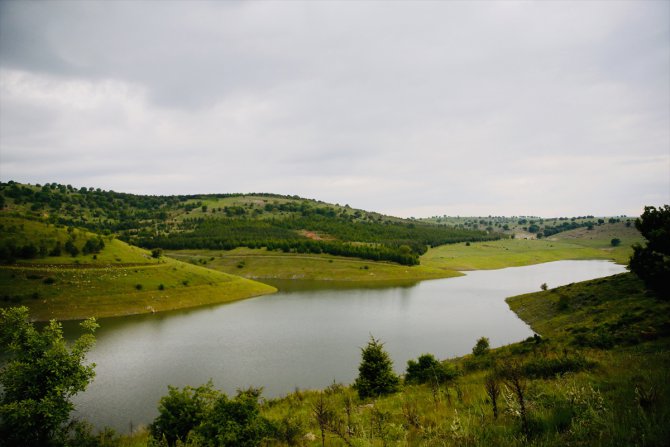 Eskişehir'deki barajların doluluğu ve yağış miktarı bir yıl öncesine göre arttı