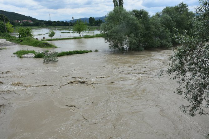Sinop'un Boyabat ilçesinde su taşkını çeltik tarlalarına zarar verdi