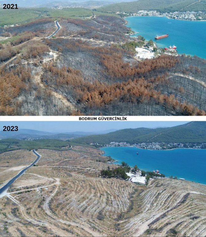 Türkiye'nin en büyük orman yangınlarında zarar gören alanlarda rehabilitasyon tamamlandı