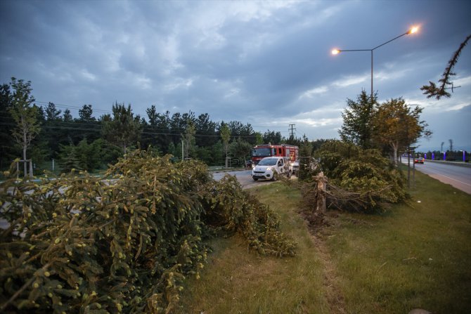 Erzurum’da refüjdeki ağaçları devirerek karşı yola geçen aracın sürücüsü yaralandı