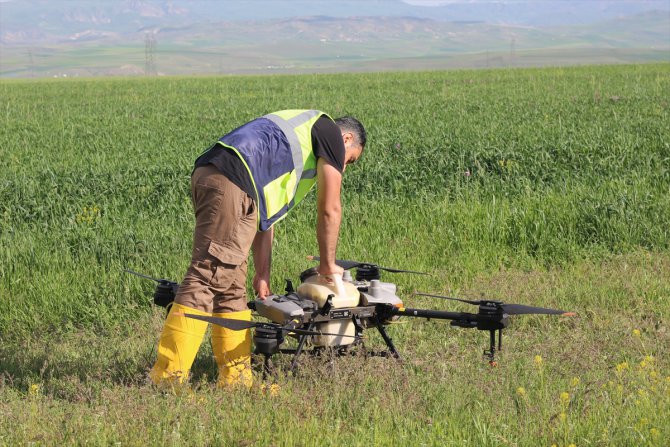 Erzurumlu çiftçiler tasarruf için ilaçlamayı dronla yapıyor