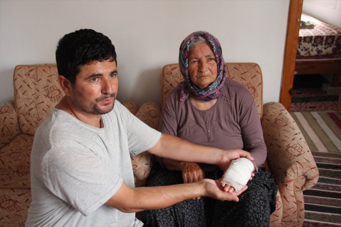 Mersin'de sahipsiz köpeğin saldırdığı yaşlı kadın elinden yaralandı