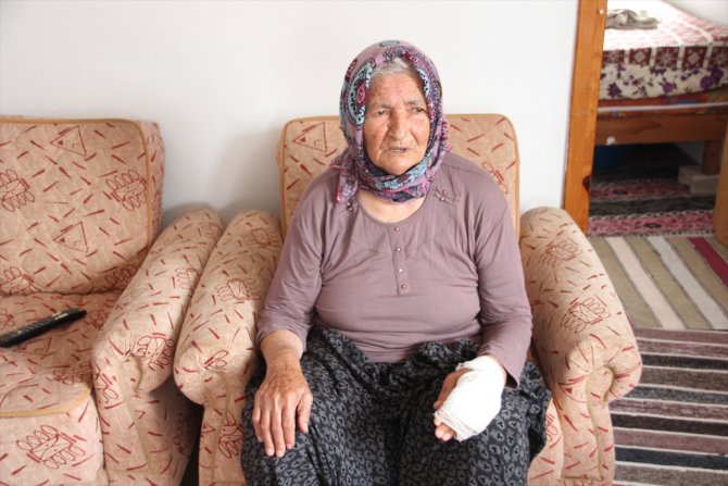 Mersin'de sahipsiz köpeğin saldırdığı yaşlı kadın elinden yaralandı