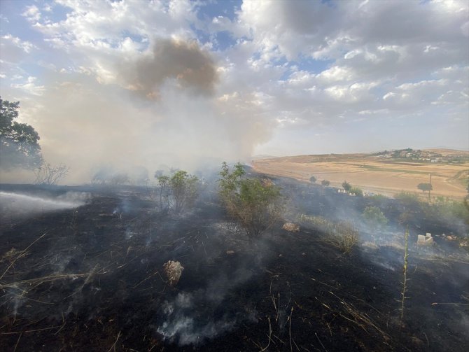 Siirt'te 65 dönüm buğday ekili alan yandı