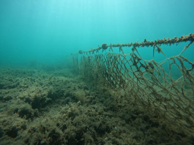 Balıkesir'de 3 yılda denizlerden 50 bin metrekare "hayalet ağ" toplandı