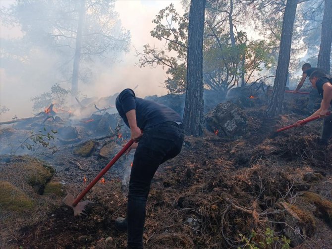 Muğla'da çıkan yangında 5 dönüm ormanlık alan zarar gördü