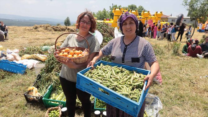 Kocaeli'de kadın çiftçilerin hibe desteğiyle yetiştirdiği arakanın hasadı yapıldı