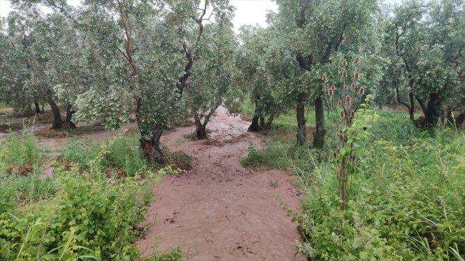 Bursa'nın Orhangazi ilçesinde şiddetli yağış hayatı olumsuz etkiledi