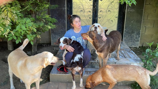 Hayatını "can dostlar"a adayan kadın evini 43 kedi ve köpekle paylaşıyor