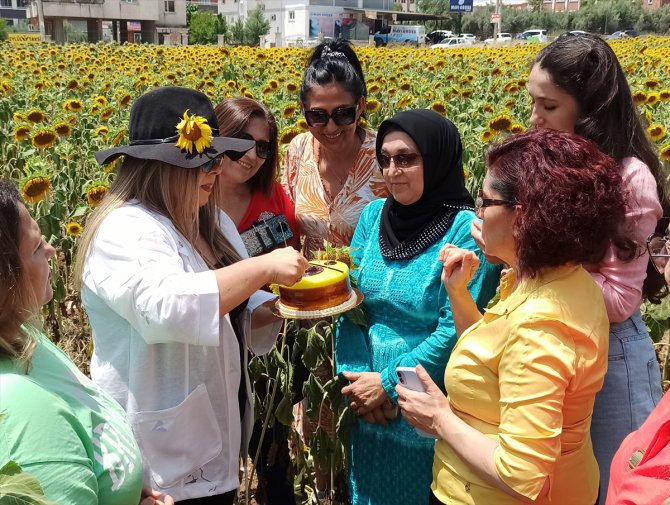 Osmaniye'de ayçiçeği tarlasında doğum günü kutlaması