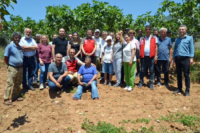 Fethiye'de kadınlara kaya inciri yetiştirme eğitimi verildi