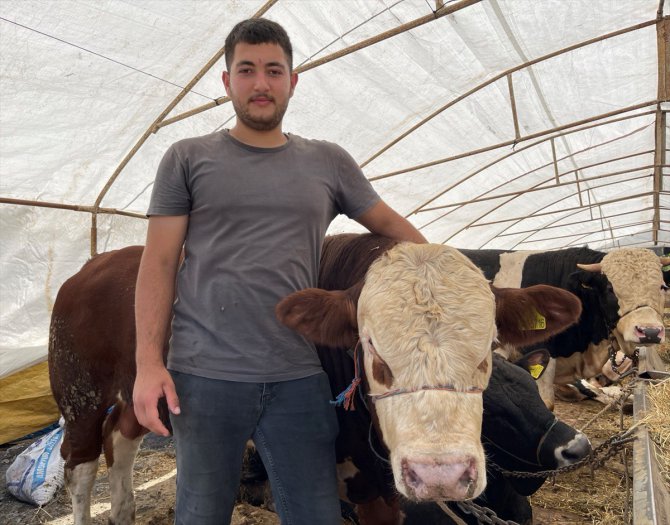 Zonguldak'ta hayvan pazarında Kurban Bayramı hareketliliği yaşanıyor