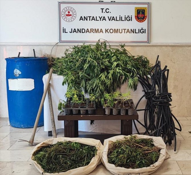Antalya'da uyuşturucu operasyonlarında 79 şüpheli yakalandı