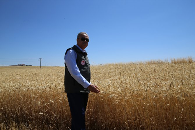 Diyarbakır Valisi Ali İhsan Su buğday hasadına katıldı: