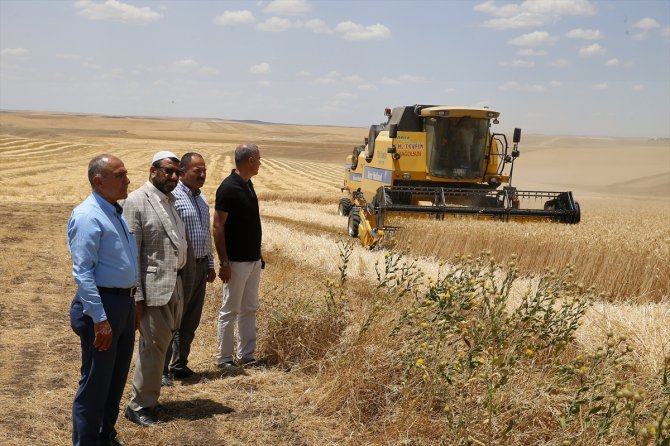 Diyarbakır'da 9 kişinin ölümüne neden olan tarlada hasat, barış heyeti gözetiminde başladı