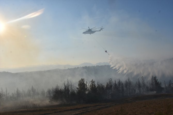 GÜNCELLEME - Adana'da çıkan orman yangını kontrol altına alındı