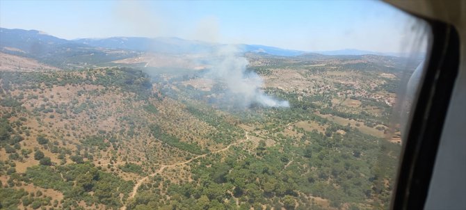 GÜNCELLEME - İzmir'de ormanlık alanda çıkan yangın kontrol altına alındı