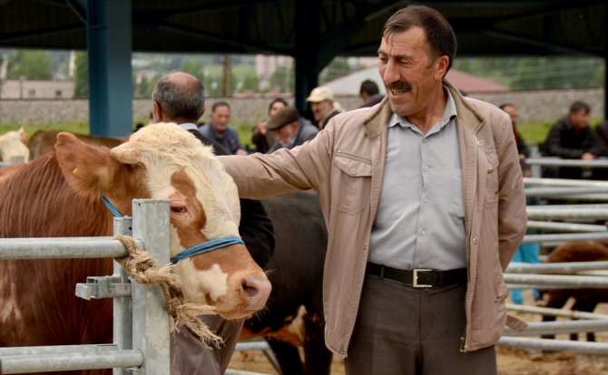 Doğu Anadolu'daki hayvan pazarlarında arife yoğunluğu yaşanıyor