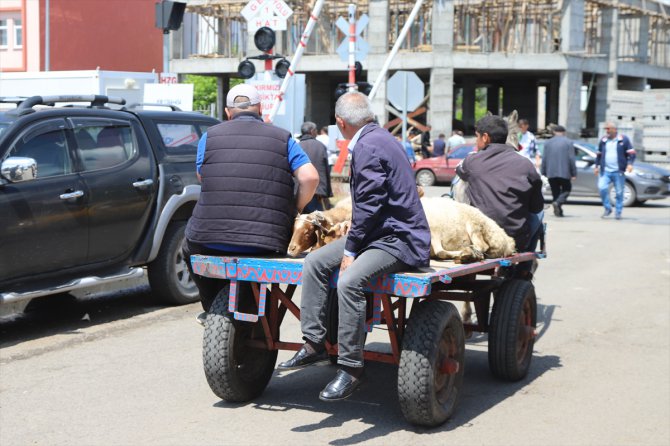 Kars'ta kurbanlıklar at arabalarıyla taşınıyor