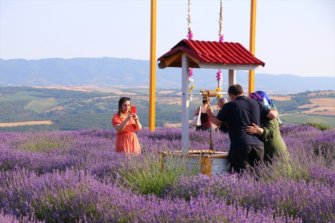 Tekirdağ'da mor renkli tarlalar bayramda ziyaretçilerini ağırlıyor