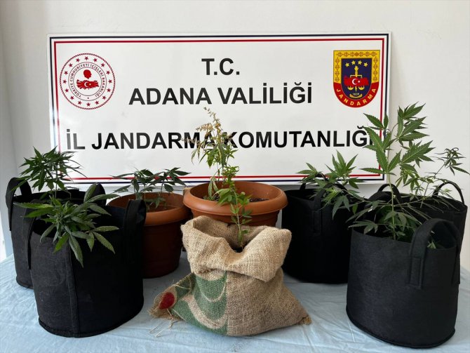 Adana'da iklimlendirme sistemiyle kenevir yetiştiren 4 zanlı yakalandı
