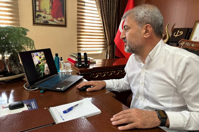 Karakoçan'da keşfedilen ters lalenin belediyenin logosunda kullanılması planlanıyor