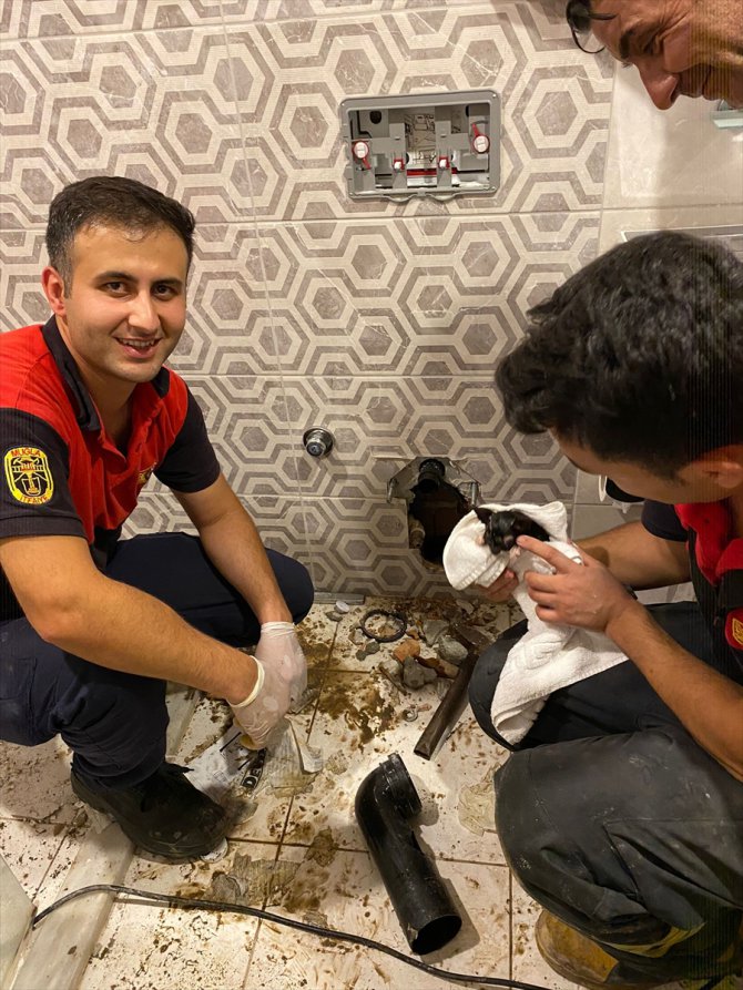 Muğla'da otelin gider borusuna sıkışan yavru kediyi itfaiye kurtardı