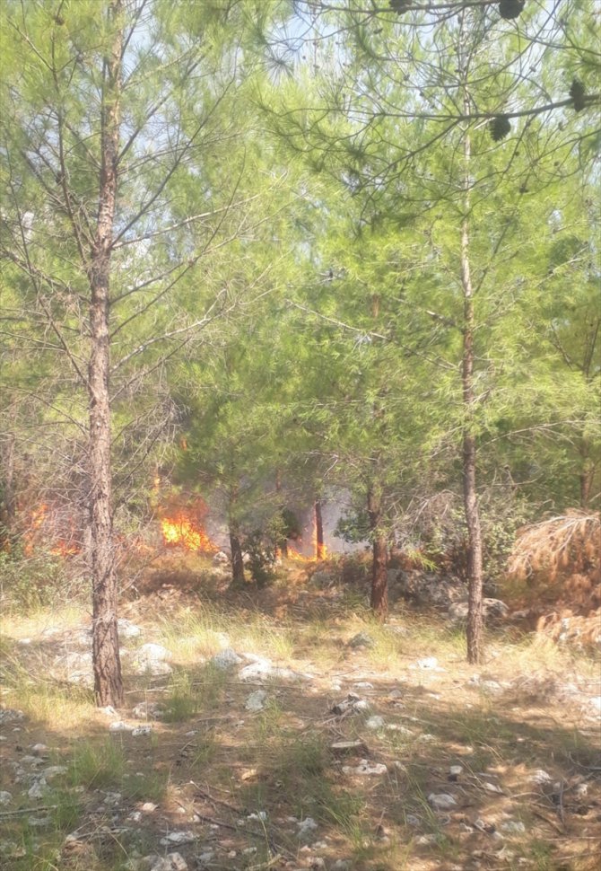 Antalya'da ormanlık alanda çıkan yangın kontrol altına alındı