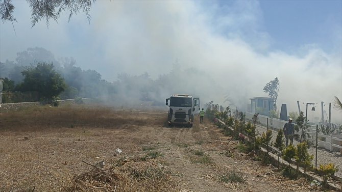 Bodrum'da makilik ve otluk alanda yangın çıktı