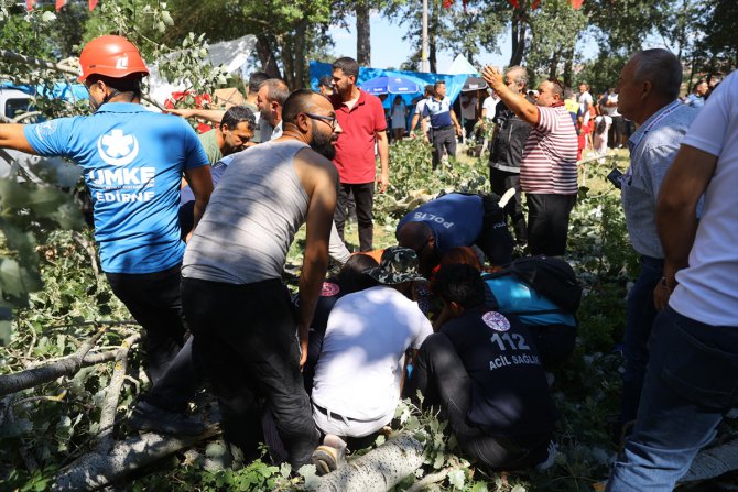 Edirne'de devrilen ağacın altında kalan 2 kişi yaralandı