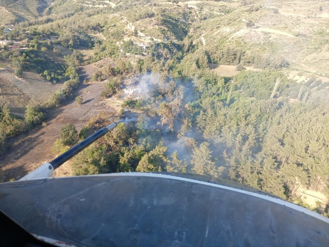 GÜNCELLEME - Adana'da çıkan orman yangını söndürüldü