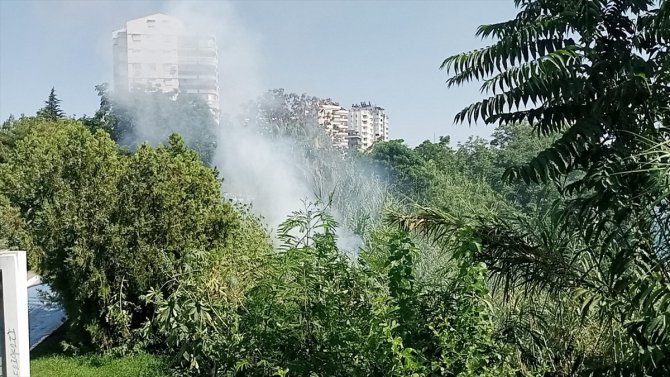 Antalya'da falezlerde çıkan yangın söndürüldü