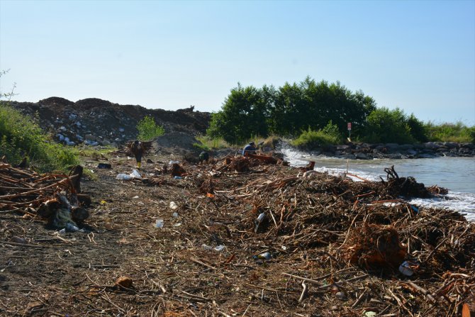 Giresun'da vatandaşlar derelerden denize sürüklenen odunları topladı