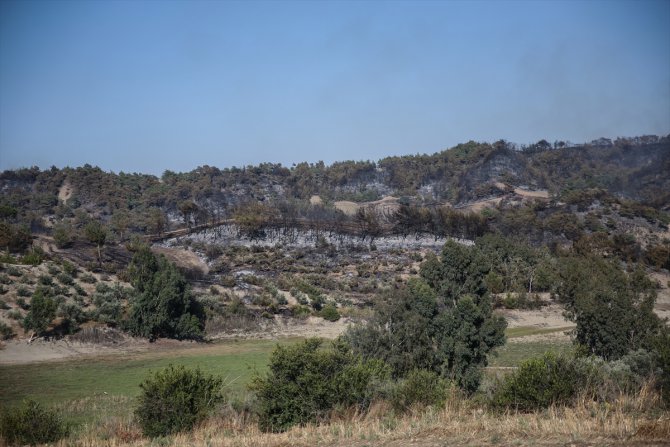 GÜNCELLEME - Mersin'de çıkan orman yangını kontrol altına alındı