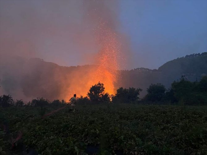 Mersin'de meyve bahçesinden ormana sıçrayan yangın kontrol altına alındı