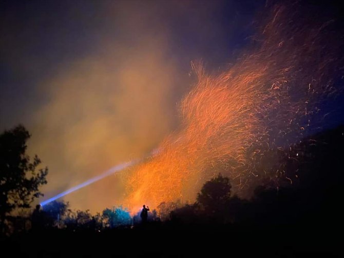 Mersin'de meyve bahçesinden ormana sıçrayan yangın kontrol altına alındı