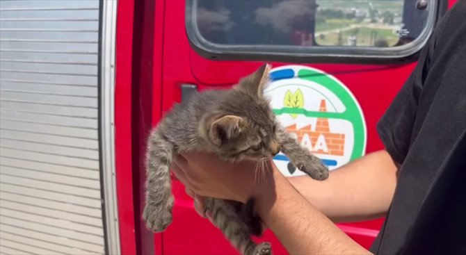 Tokat'ta otomobilin motor kısmına giren kedi yavrusunu itfaiye kurtardı