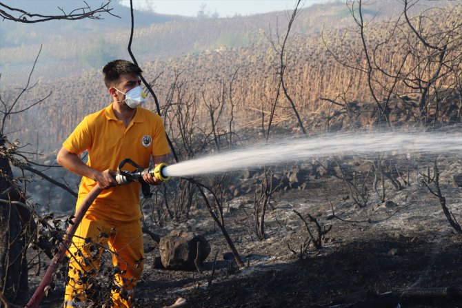 GÜNCELLEME 2 - Adana'da çıkan orman yangını kontrol altına alındı