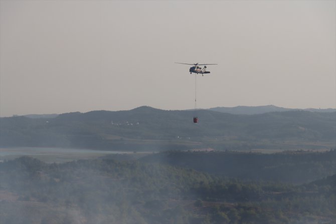 GÜNCELLEME 2 - Adana'da çıkan orman yangını kontrol altına alındı