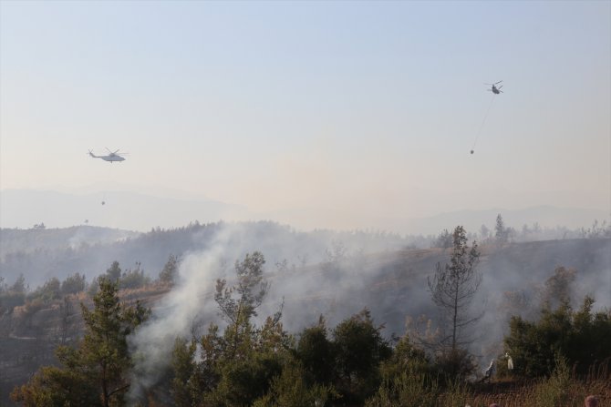 GÜNCELLEME - Adana'da orman yangını çıktı