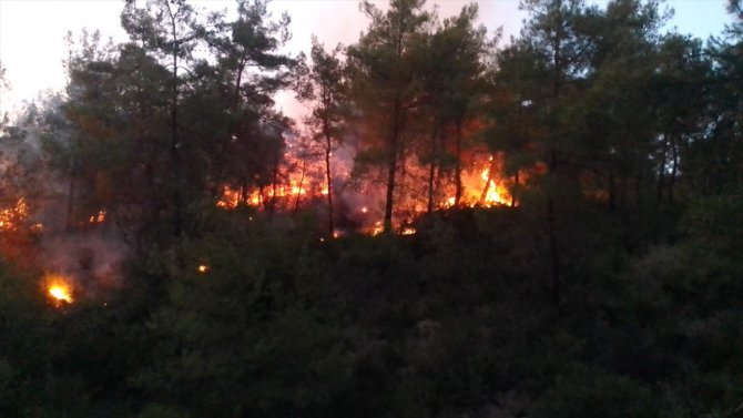 GÜNCELLEME - Adana'nın İmamoğlu ilçesinde çıkan orman yangını kontrol altına alındı